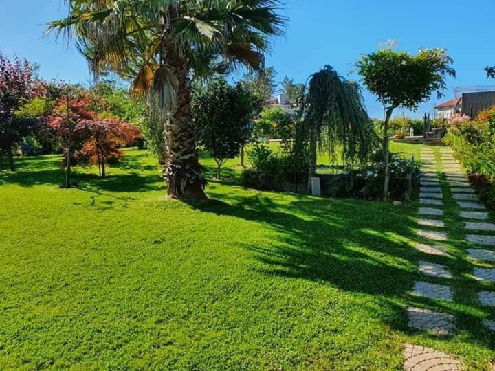 Villa Casa Brandao Póvoa de Varzim Εξωτερικό φωτογραφία